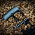 glycine_airman_lu-29