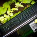 passport_scotch_2