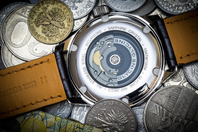 glycine_incursore_wd_sm-20