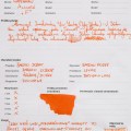 iroshizuku_yuyake_test2-6