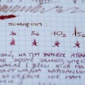 diamine_oxblood_test_sm-12