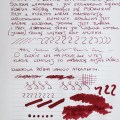 diamine_oxblood_test_sm-13