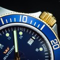 glycine_sub_sm-10
