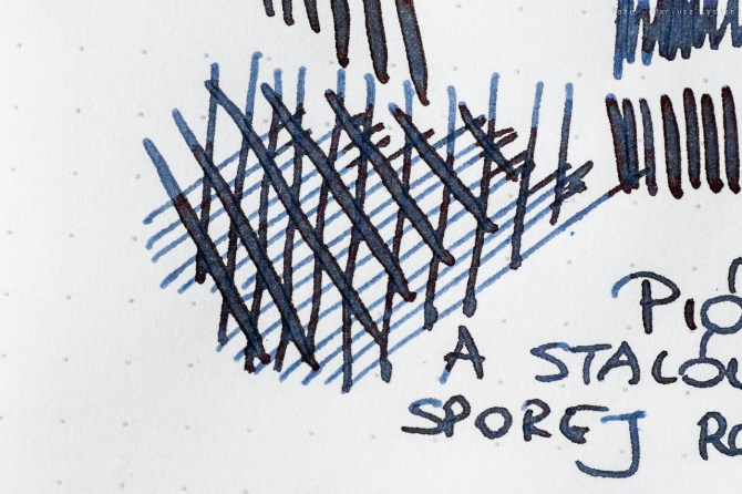 visconti_homo_sapiens_fpensm-34