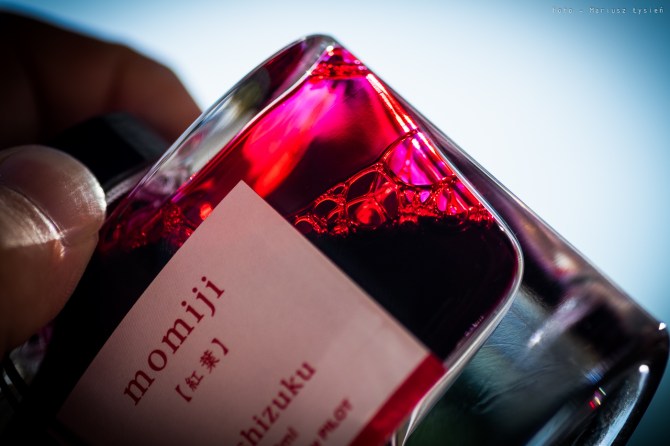 pilot_iroshizuku_momiji_sm-8