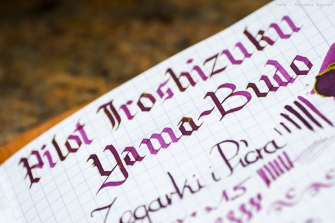 pilot_iroshizuku_yamabudo_prsm-2