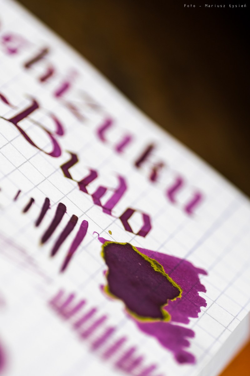 pilot_iroshizuku_yamabudo_prsm-4