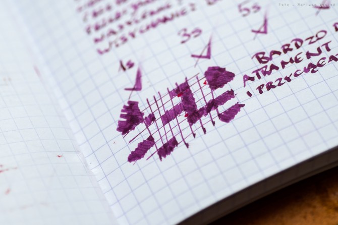 pilot_iroshizuku_yamabudo_prsm-5