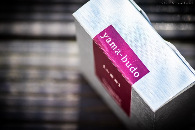 pilot_iroshizuku_yamabudo_sm-3