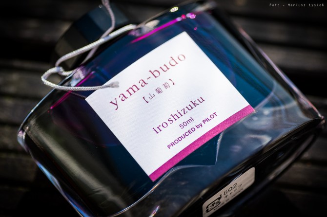 pilot_iroshizuku_yamabudo_sm-5