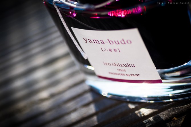 pilot_iroshizuku_yamabudo_sm-7