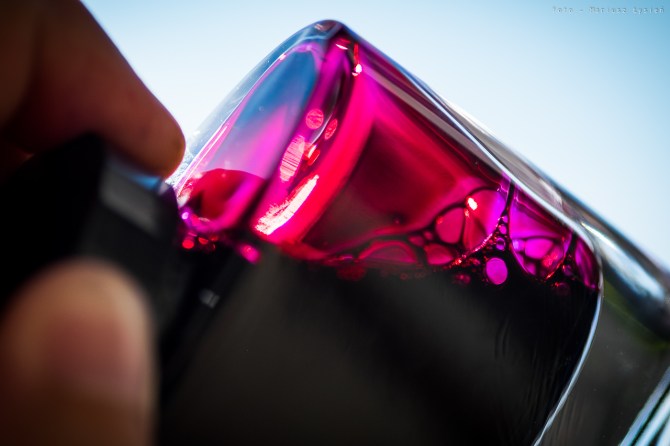 pilot_iroshizuku_yamabudo_sm-9