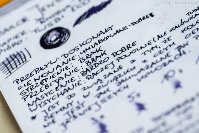 sailor_shigure_prsm-4