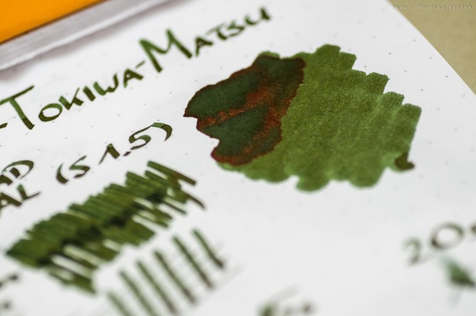 sailor_tokiwa_matsu_prsm-5