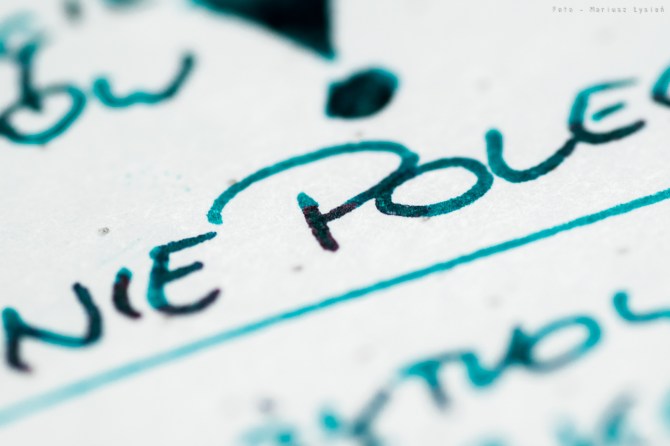 sailor_yamadori_prsm-11