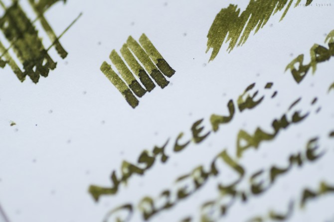 sailor_kn_eveningcicade_sm-5