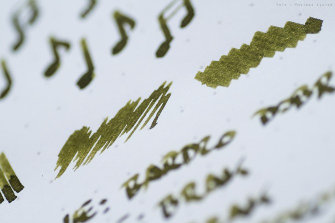 sailor_kn_eveningcicade_sm-6