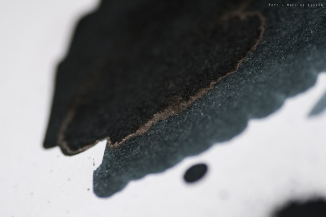 sailor_kobe_46_sm-11