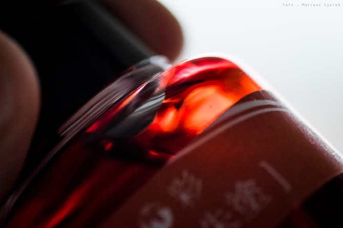 kyoiro_redflameoffushimi_sm-6