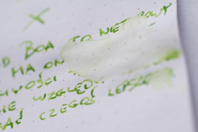 bookbinders_emerald_boa_sm-12