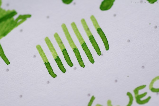 bookbinders_emerald_boa_sm-4