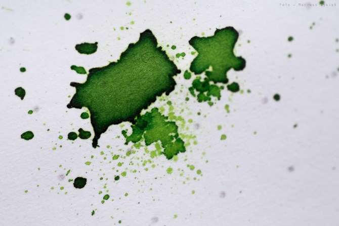 bookbinders_emerald_boa_sm-6