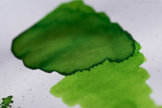 bookbinders_emerald_boa_sm-8