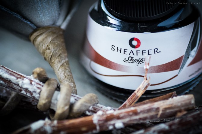 komp_styczen2017sm-10