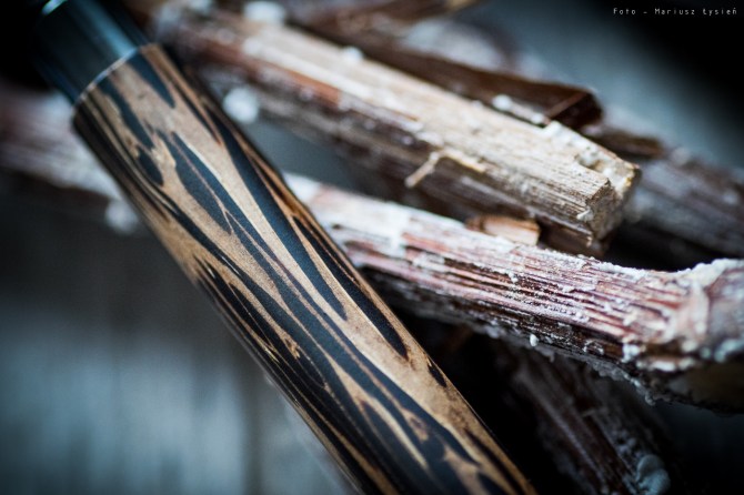 komp_styczen2017sm-14