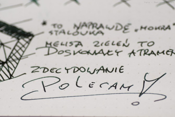 kwz_ink_foggy_green_sm-12