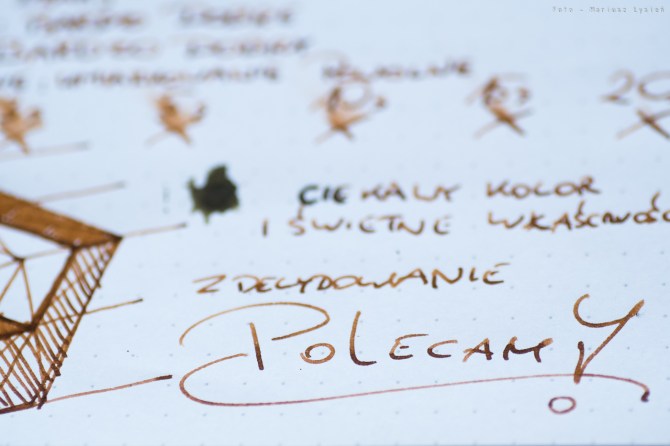 kwz_ink_irongall_mandarin-16