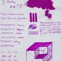 jherbin_rose_cyclamen_sm-1