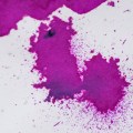 jherbin_rose_cyclamen_sm-11